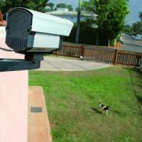 CFTV - Instalação e Manutenção de CFTV em Campinas